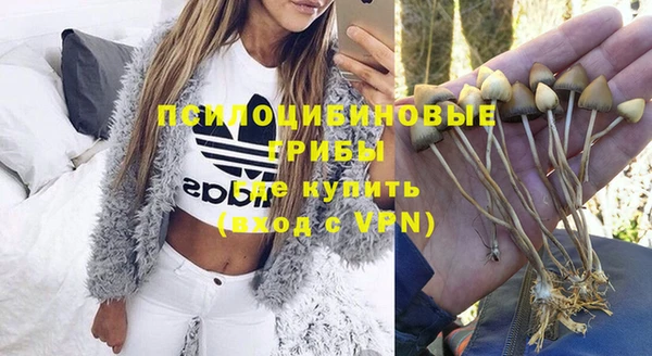 ешки Алексин