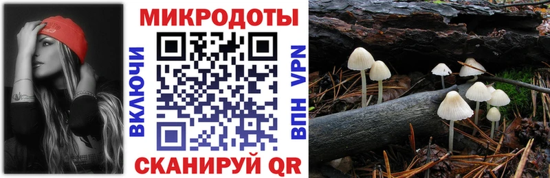 darknet как зайти  Миасс  Галлюциногенные грибы прущие грибы  ОМГ ОМГ зеркало 