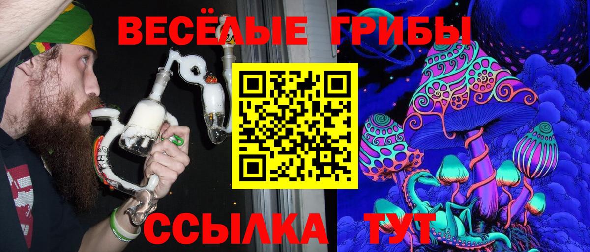Галлюциногенные грибы Psilocybe Миасс